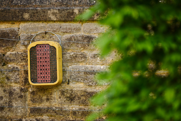 Bug hotel hanging on the wall in the Rhodes House garden.